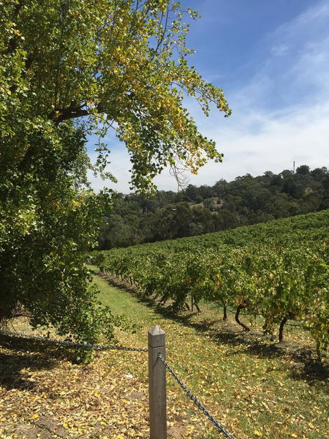 Australian Home Away @ Wonga Park Brushy Creek - Hobart Tourism 1