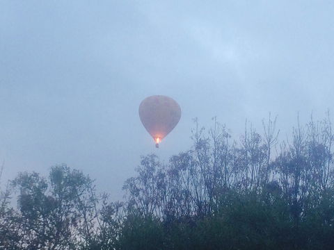 Australian Home Away @ Wonga Park Brushy Creek - Hobart Tourism 21