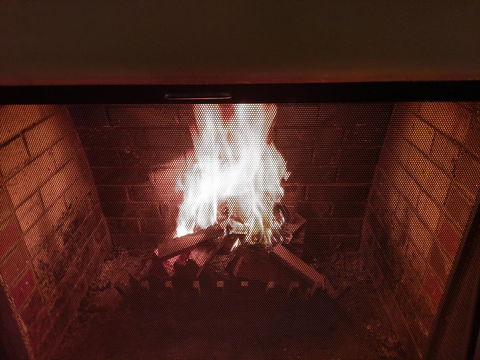 Ansonia On Lydiard - Hobart Tourism 17