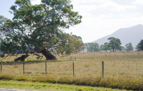 Corrugated Cottage - Tourism TAS 4