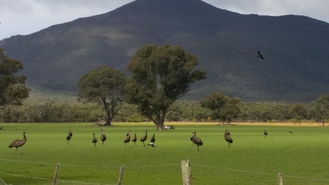 Corrugated Cottage - Tourism TAS 23