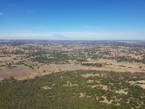 Corrugated Cottage - Tourism TAS 24