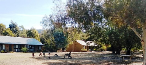 Grampians Pomonal Cottages - Tourism TAS 6