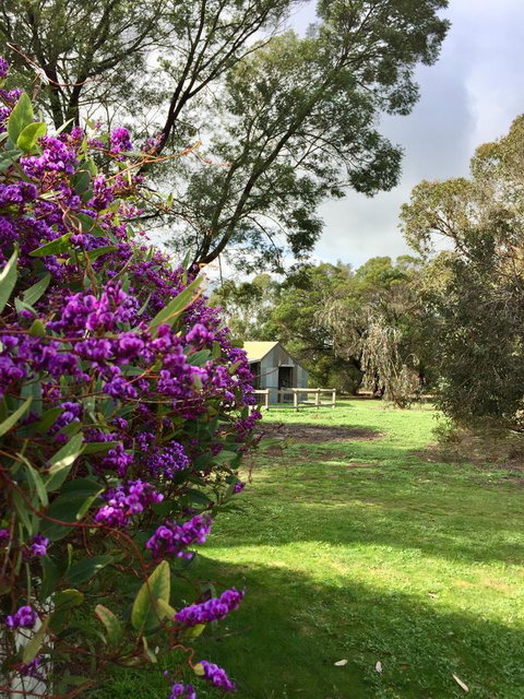 Grampians Pomonal Cottages - Tourism TAS 21