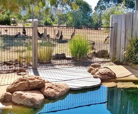 Grampians Pomonal Cottages - Tourism TAS 24