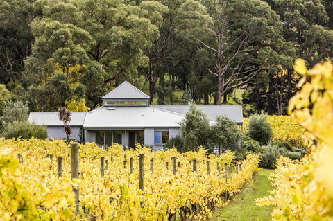 Polperro Villas - Hobart Tourism 22