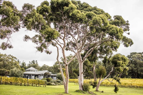 Polperro Villas - Hobart Tourism 20