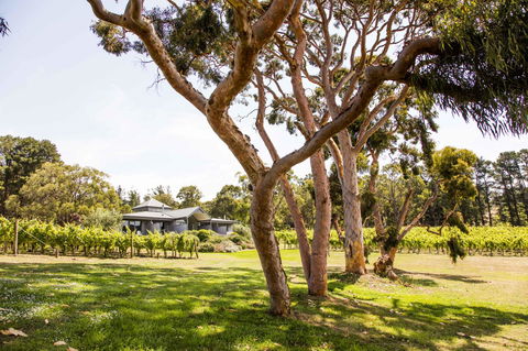 Polperro Villas - Hobart Tourism 17