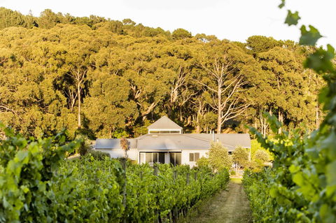 Polperro Villas - Hobart Tourism 0