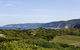 Johanna Seaside Cottages - thumb 13