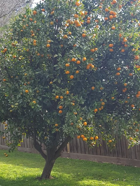 Juliet House - Tourism TAS 21