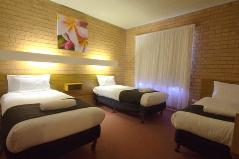 Blue Whale Motor Inn & Apartments - Hobart Tourism 21