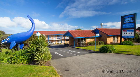 Blue Whale Motor Inn & Apartments - Hobart Tourism 0