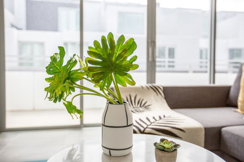 Docklands Waterfront Luxury Villa - Tourism TAS 33