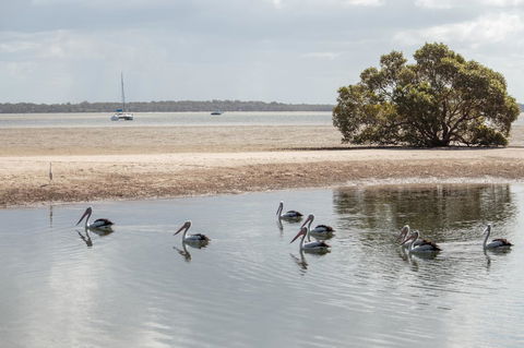 BIG4 Breeze Holiday Parks - Rainbow Beach - Hobart Tourism 32