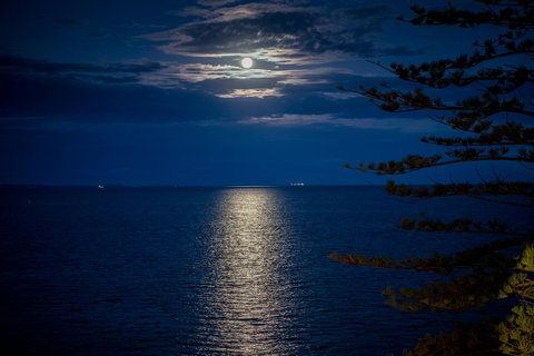 The Sebel Brisbane Margate Beach - Tourism TAS 10