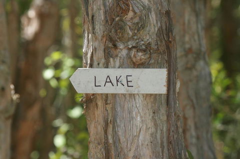 Lake Weyba Noosa Lodge & Kangaroos - Tourism TAS 36