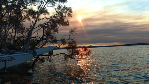 Lake Weyba Noosa Lodge & Kangaroos - Tourism TAS 40