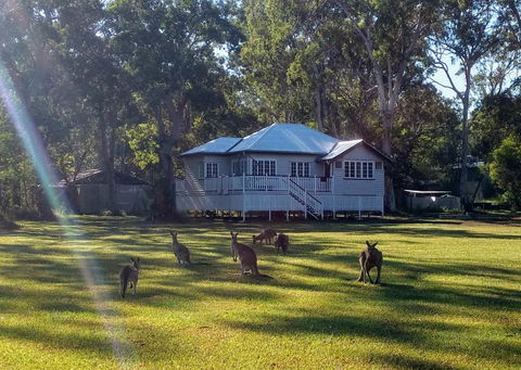 Lake Weyba Noosa Lodge & Kangaroos - Tourism TAS 0