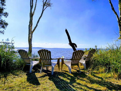 Lake Weyba Noosa Lodge & Kangaroos - Tourism TAS 44