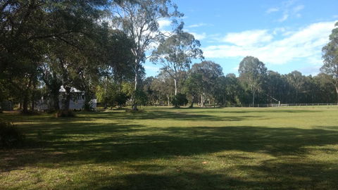 Lake Weyba Noosa Lodge & Kangaroos - Tourism TAS 23
