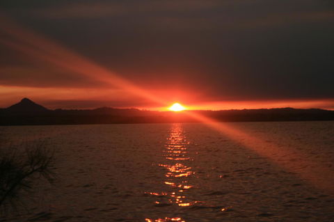 Lake Weyba Noosa Lodge & Kangaroos - Tourism TAS 41