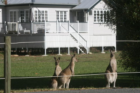 Lake Weyba Noosa Lodge & Kangaroos - Tourism TAS 28