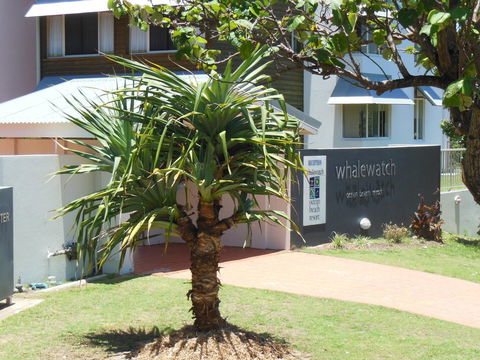 Whale Watch Ocean Beach Resort - Hobart Tourism 15