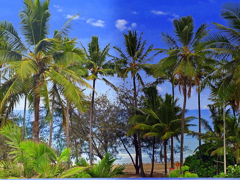 By The Sea Port Douglas - Hobart Tourism 3