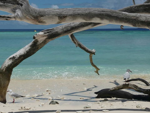 Beach Club Port Douglas Luxury Apartments - Tourism TAS 23