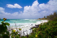 Book Coolangatta Accommodation Vacations Tourism TAS Tourism TAS