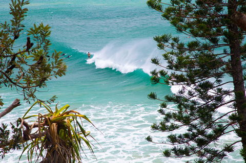 Rainbow Bay Backpackers - Hobart Tourism 15