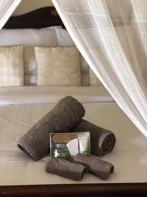 The Bearded Dragon Boutique Hotel - Hobart Tourism 4