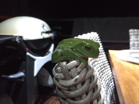 Bed & Breakfast 1 Bedroom Guest House - Hobart Tourism 43