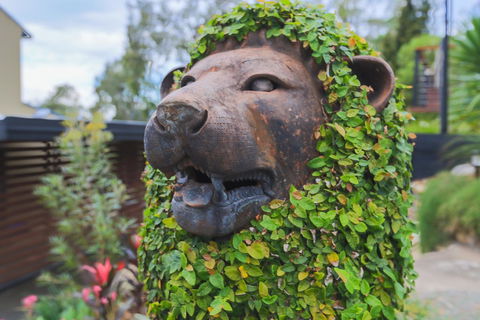 Bed & Breakfast 1 Bedroom Guest House - Hobart Tourism 44