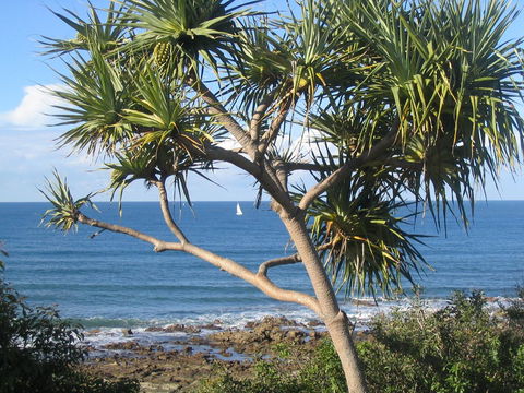 Headland Tropicana Resort - Tourism TAS 39