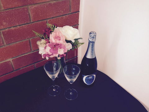 XYL Pets Friendly Seaside Boutique Guesthouse - Hobart Tourism 26