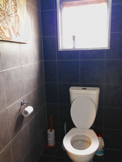 XYL Pets Friendly Seaside Boutique Guesthouse - Hobart Tourism 5