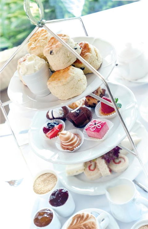 Stamford Plaza Brisbane - Tourism TAS 37