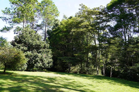 McCarthy Grove Maleny - Tourism TAS 2
