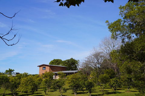 McCarthy Grove Maleny - Tourism TAS 4
