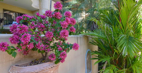 Villa San Michele (Official) - Hobart Tourism 4