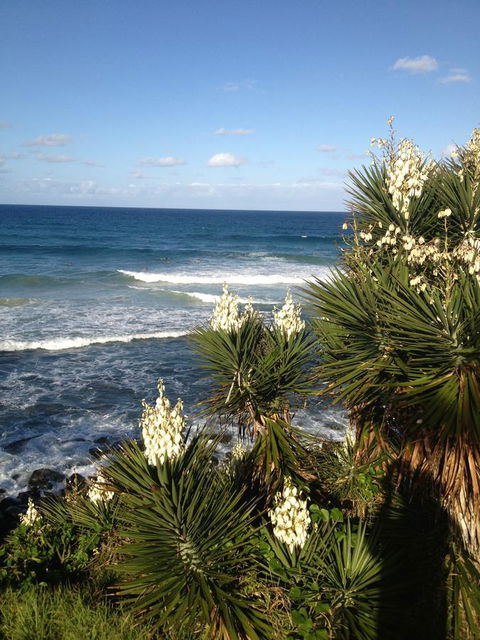 Oceania On Burleigh Beach - Hobart Tourism 23