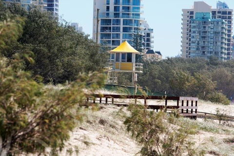 Surfers International Apartments - Hobart Tourism 4