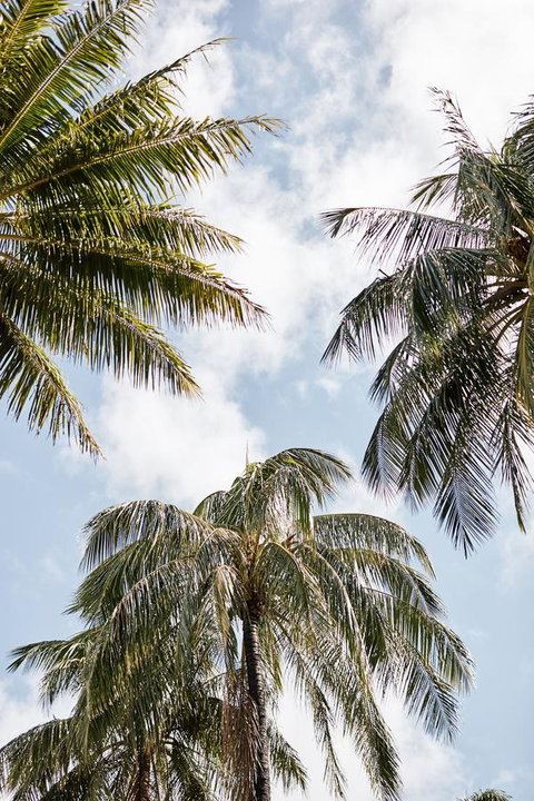 Novotel Cairns Oasis Resort - Tourism TAS 9