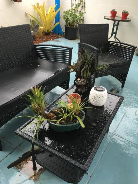 Black Marlin Motel - Tourism TAS 3