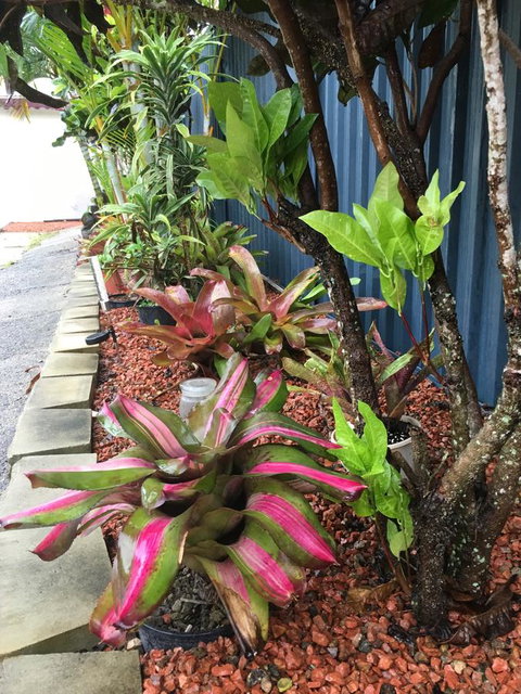 Black Marlin Motel - Tourism TAS 20