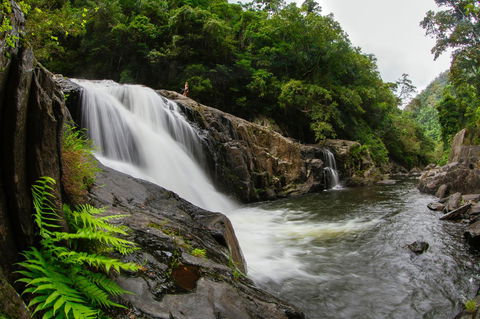 Coral Tree Inn - Hobart Tourism 40