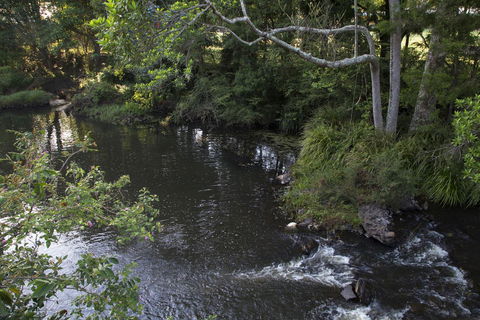 Bower 63 - Tourism TAS 23