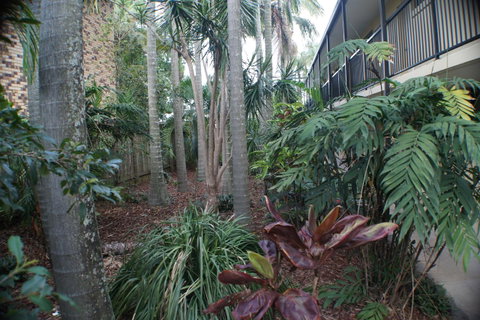 Best Western Airport 85 Motel - Tourism TAS 34